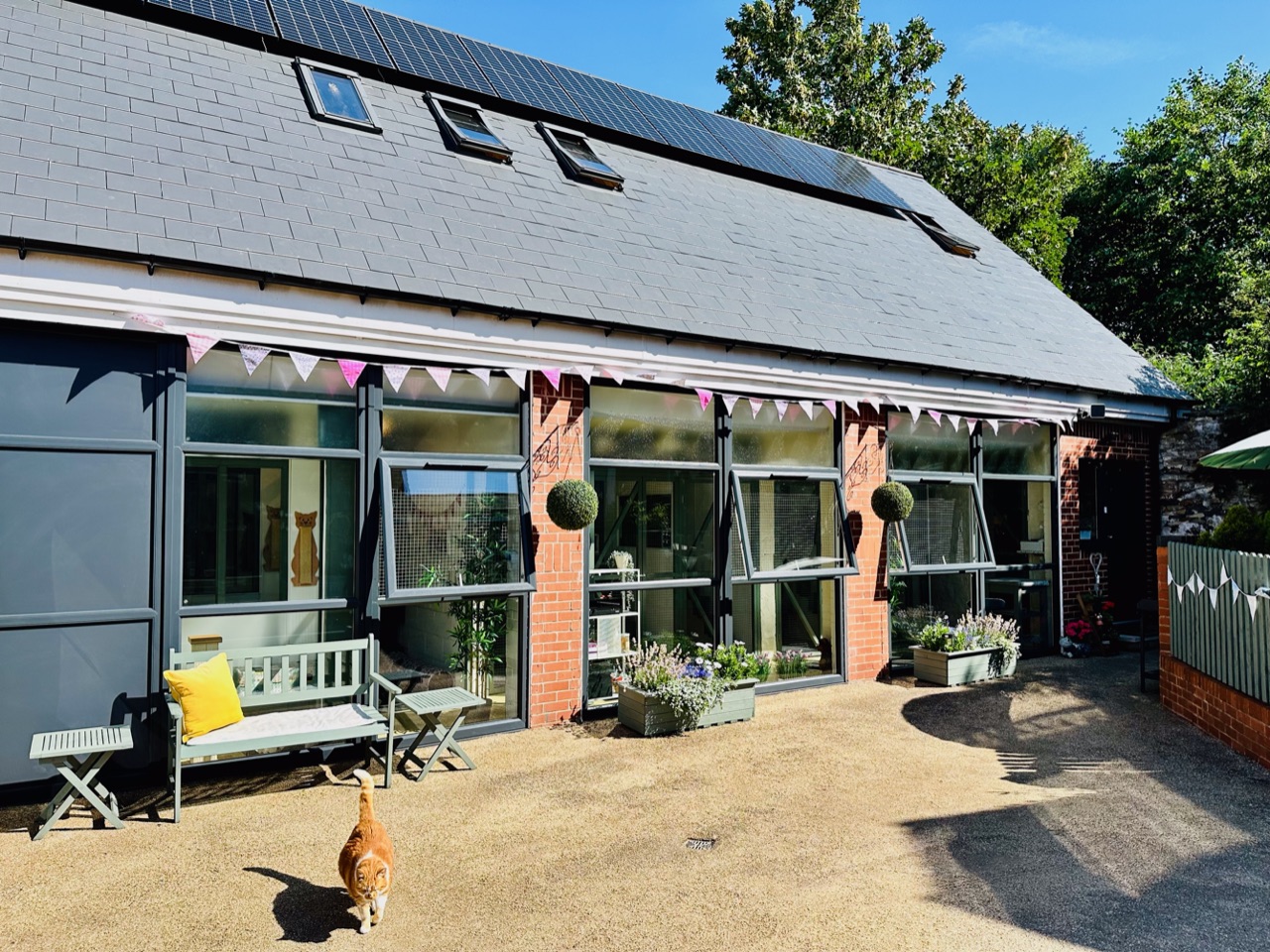 Cloughfields sales cat hotel